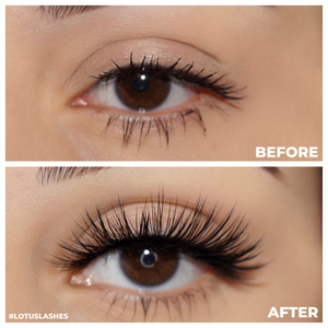 No. FX1 faux mink lashes vegan lotus lashes before and after