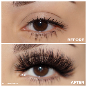 d-luxe mink lashes false eyelashes afterglow lotus lashes before and after