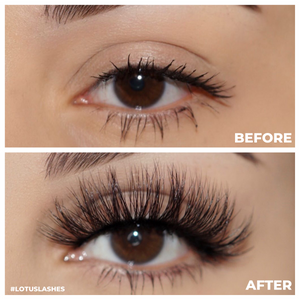 finesse 3d mink lashes false eyelashes afterglow lotus lashes before and after