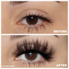 royalty 3d mink lashes false eyelashes afterglow lotus lashes before and after