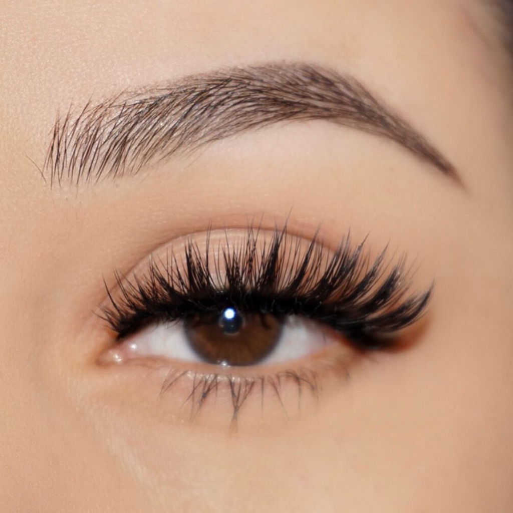 Lotus Lashes